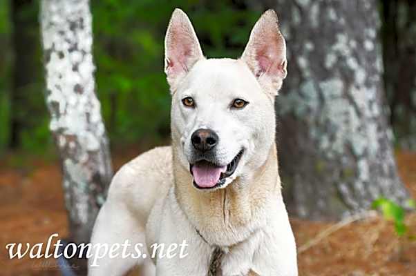 Photo of Bolt #18887 #image