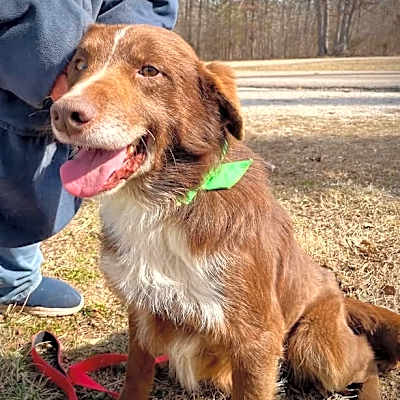 Photo of Odie #image