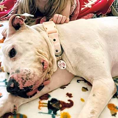 Photo of Holly #image