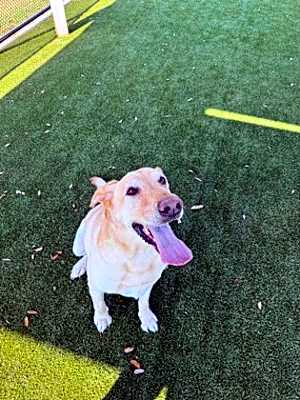 Photo of Gus #image