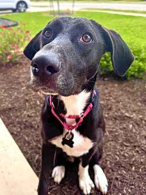 Photo of Lucy #image