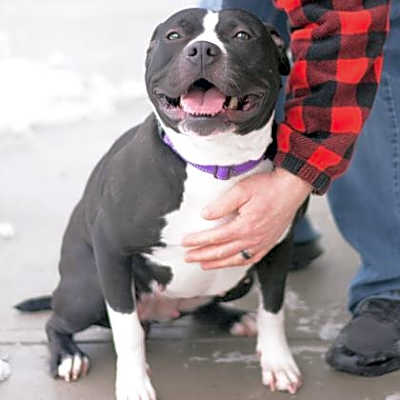 Photo of Buffy #image