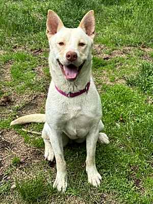 Photo of Norma #image