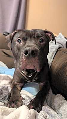 Photo of Fry - Kitchener #image