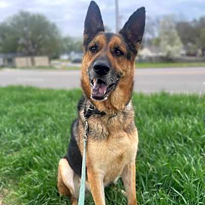 Photo of Roscoe #image