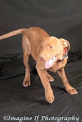 Photo of Zeus #image