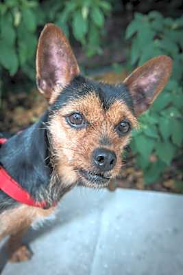 Photo of Lila #image