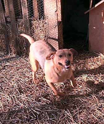 Photo of JuJu Mac #image