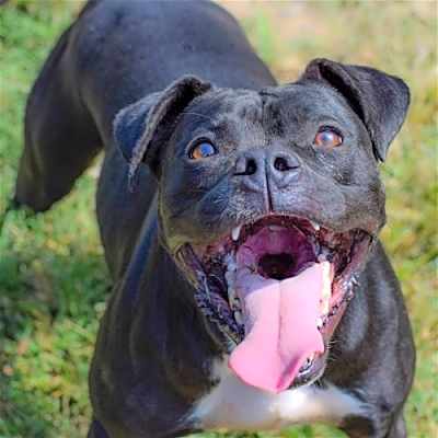 Photo of Kali #image