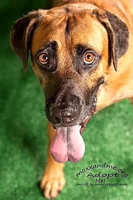 Photo of Chip #image