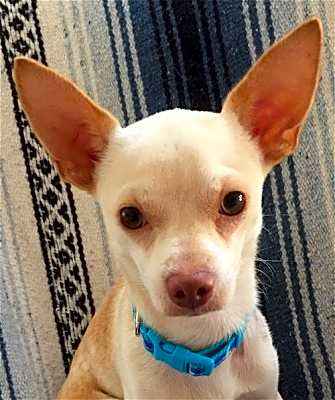 Photo of Duke #image
