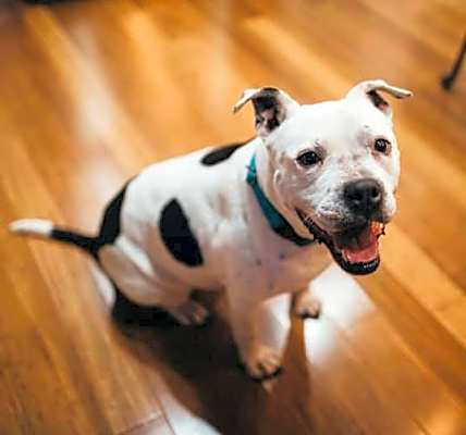 Photo of Margo #image