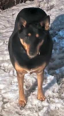 Photo of Thelma #image