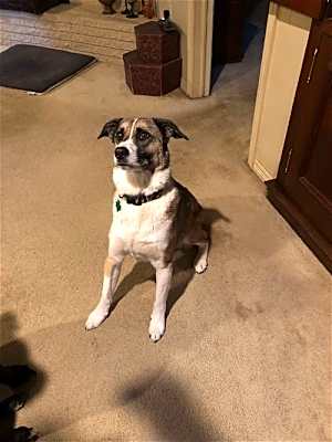 Photo of Louie #image