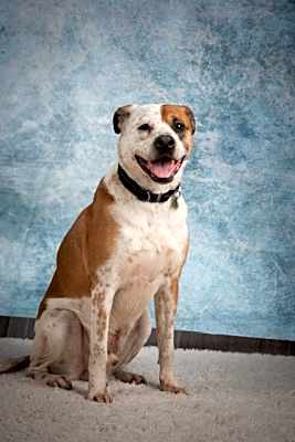 Photo of Rocky #image