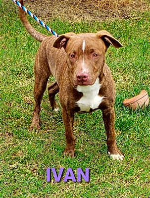 Photo of Ivan #image