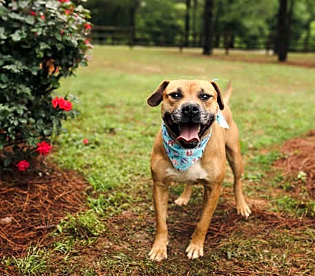 Photo of Otto #image