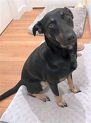 Photo of Lily #image