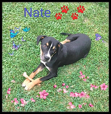 Photo of Nate #image