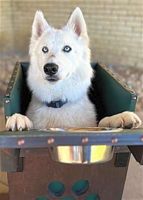 Photo of Jackson **Special medical needs** #image