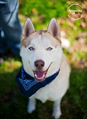 Photo of Tucker2 #image