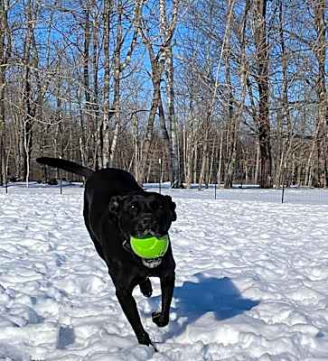 Photo of Becky - in New England #image