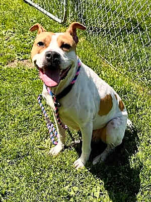 Photo of Wally #image
