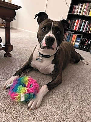 Photo of Jamison #image