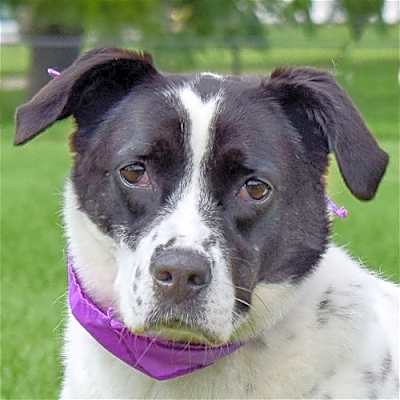 Photo of Ella #image