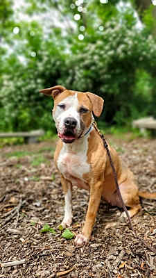 Photo of Emma #image