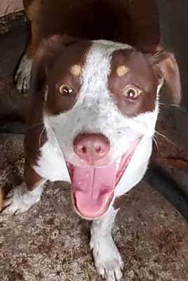 Photo of Tilley #image