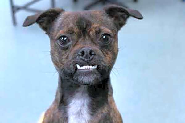 Photo of Jack #image
