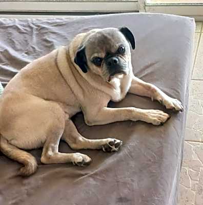 Photo of ROCKY #image