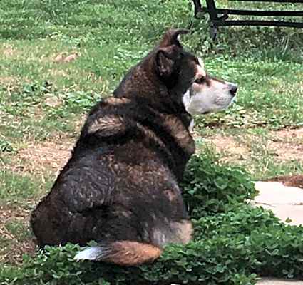 Photo of Nakita  #image