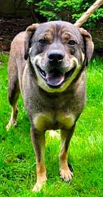 Photo of BOO #image
