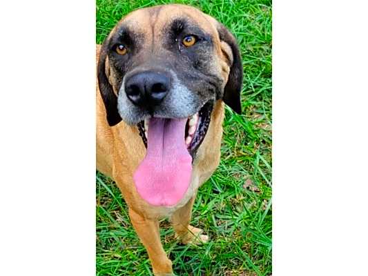 Photo of Tanner #image