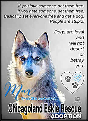 Photo of Max #image