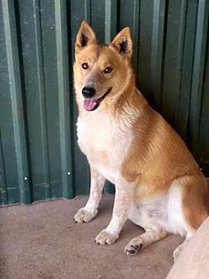 Photo of Archie #image