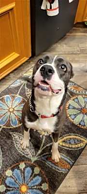 Photo of TEETER #image