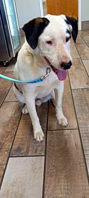 Photo of Maddy's Nero #image