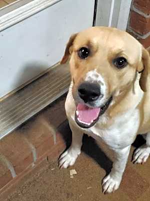 Photo of SHILO #image