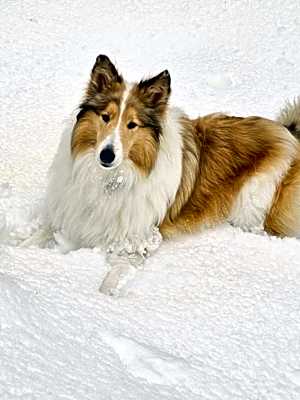 Photo of Kip #image