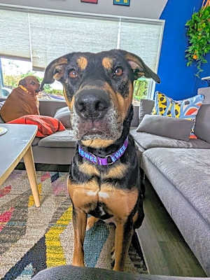 Photo of KEEWEE #image