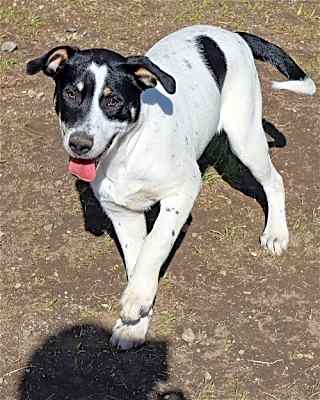 Photo of Titch #image