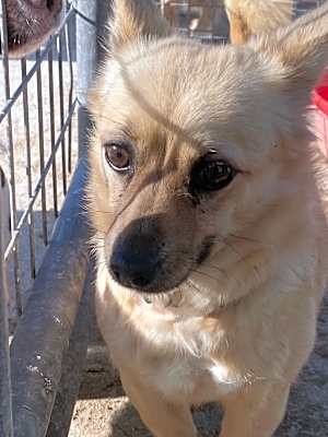 Photo of Gemma #image