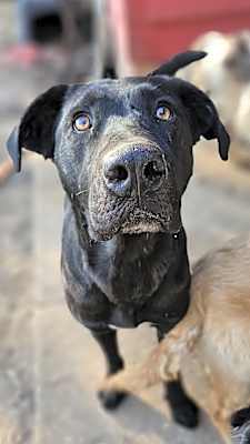 Photo of Quigley #image