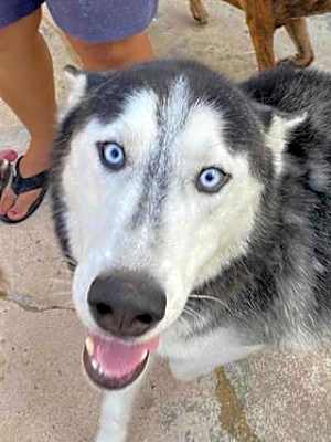 Photo of Zeus #image