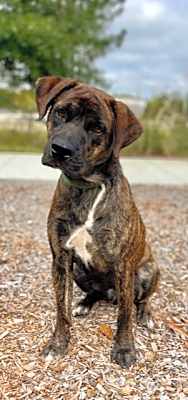 Photo of Rex (2023) #image