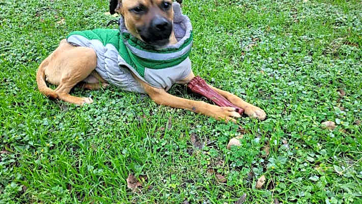 Photo of Finley #image