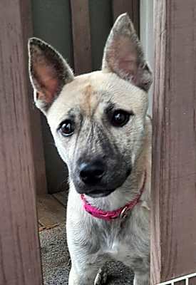 Photo of Holly #image